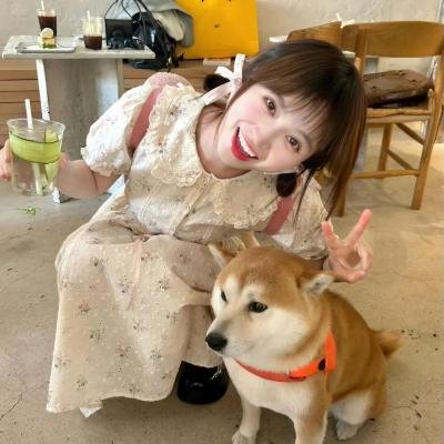命运探索者