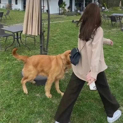 留不住的春天
